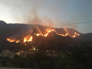 incendio longhi (2)