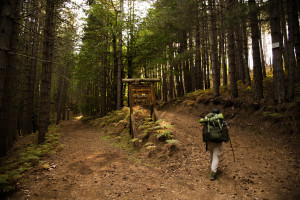 sentieri-aspromonte-2