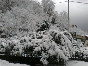 neve-reggio-4