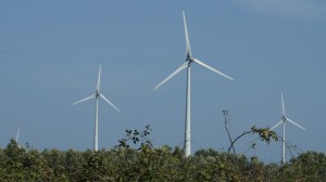 eolico