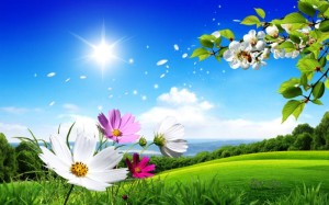 primavera