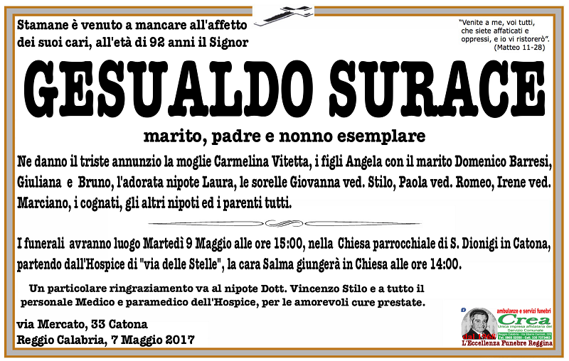 Surace (1)