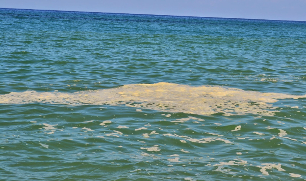 mare inquinato