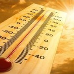 Caldo
