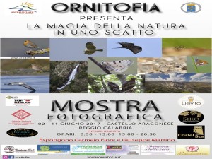 Locandina_Mostra A5