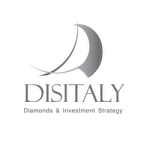 disitaly logo