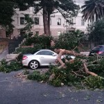 reggio calabria albero caduto lungomare 28 giugno 2017 (1)