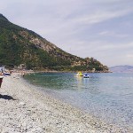 scilla