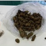 Materiale sequestrato (4)