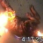 gatto-incendi-640x359