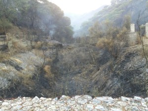 incendio messina annunziata (2)