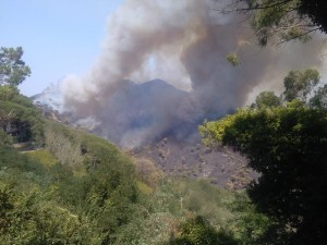 incendio reginella messina