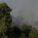 Foto StrettoWeb / Simone Pizzi