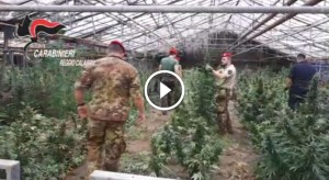 marijuana carabinieri