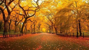 autunno