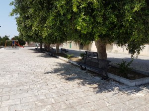 Piazza Tripoli 3