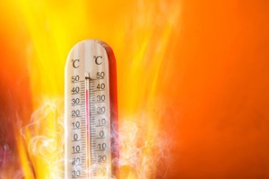caldo