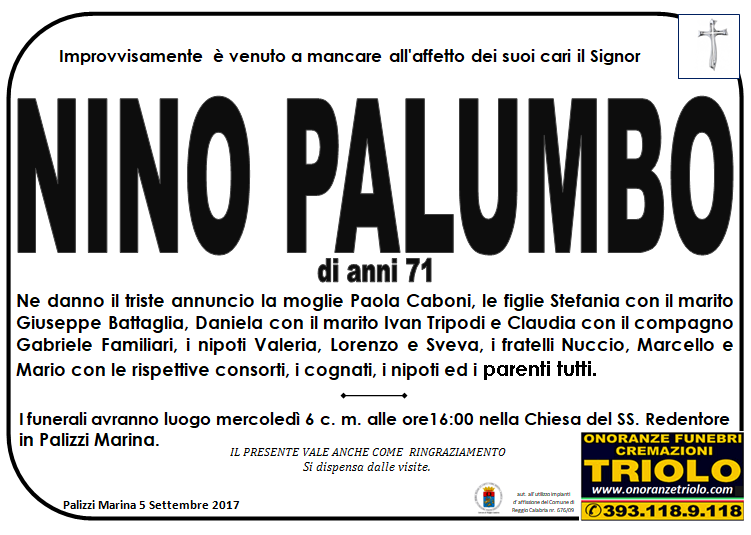nino palumbo