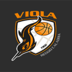 logoViolaReggioCalabria_200