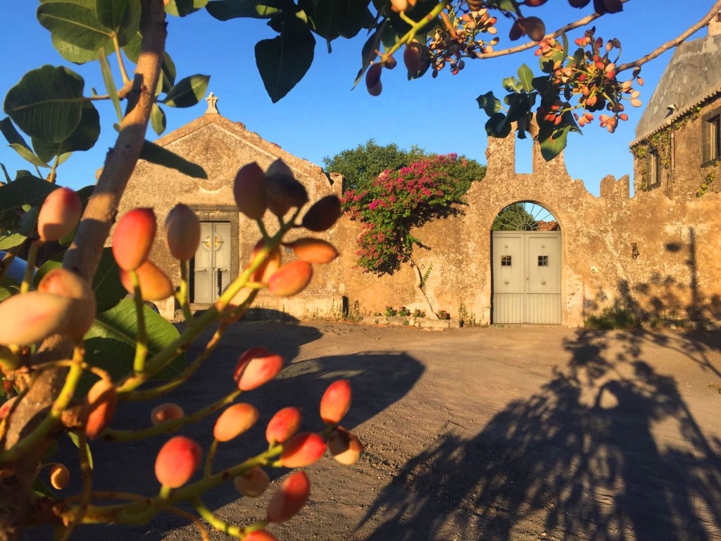 pistacchio di Bronte