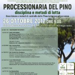 processionaria del pino locandina-page-001