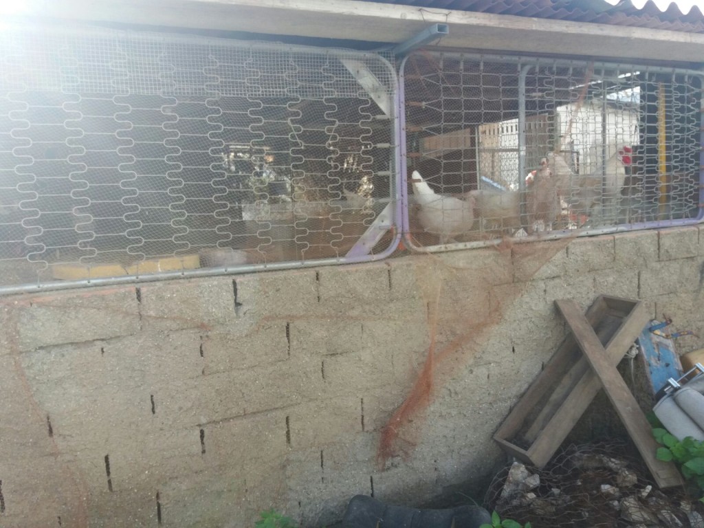 baracche zir messina