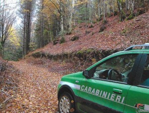 carabinieri forestali