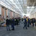 agitazione ai mercati di San Gregorio