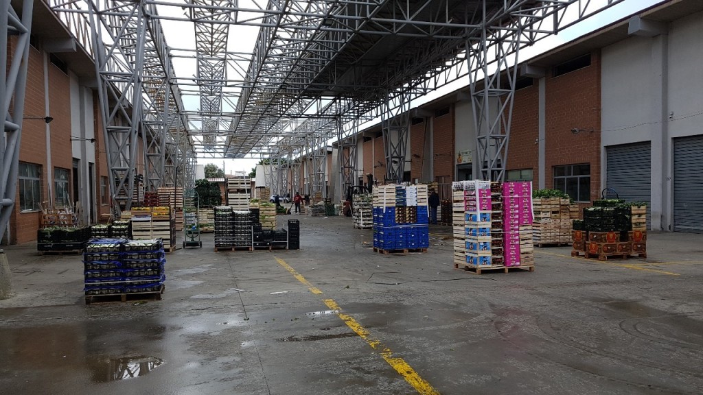 mercato ortofrutticolo mortara