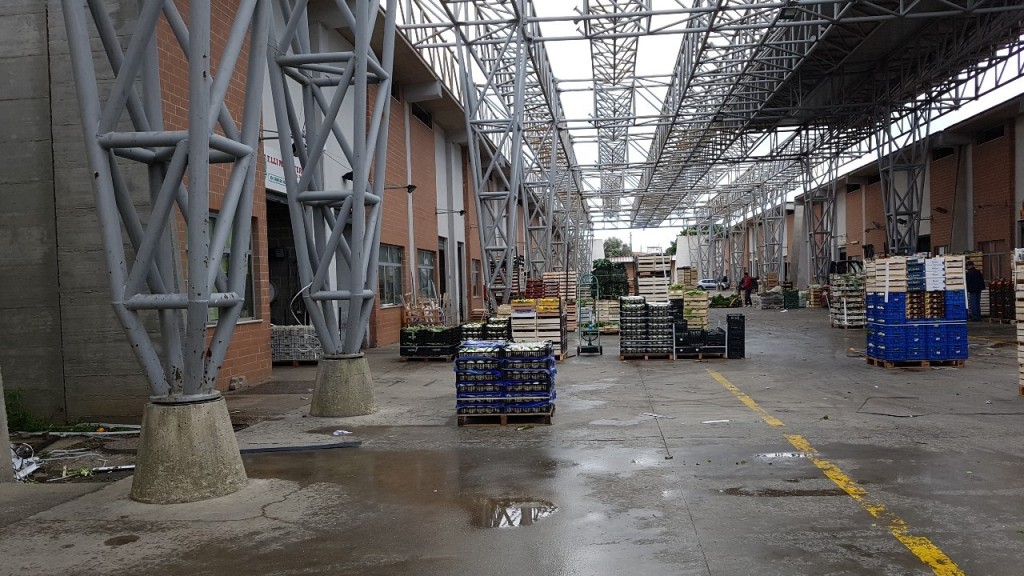 mercato ortofrutticolo mortara