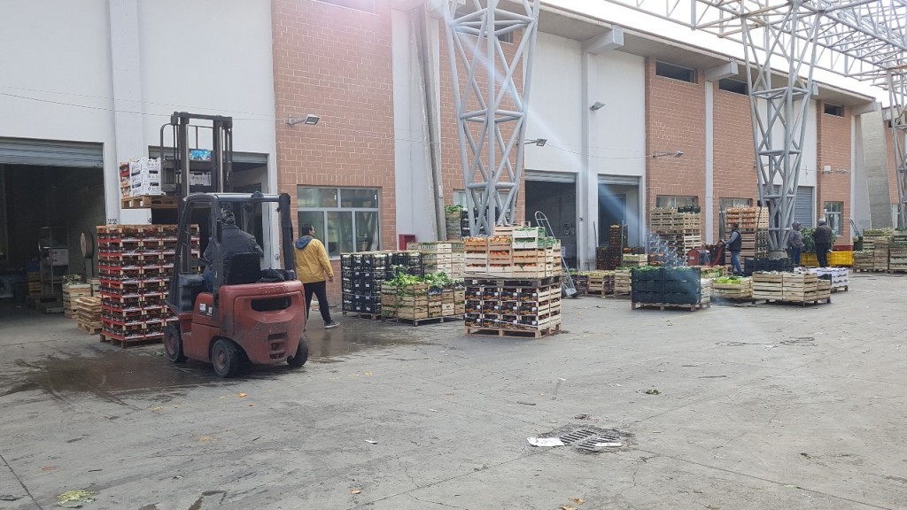 mercato ortofrutticolo mortara
