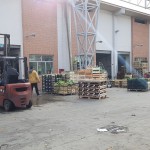 mercato ortofrutticolo mortara
