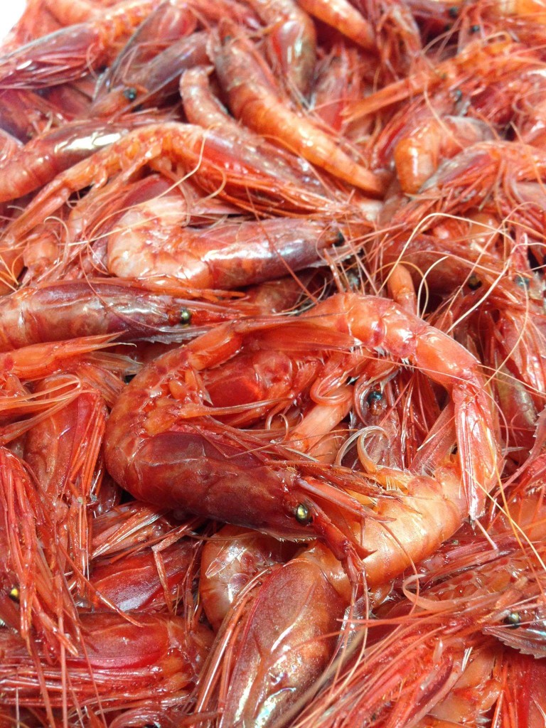 gamberi