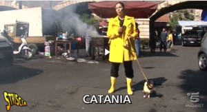 stefania petix al mercato del pesce di catania