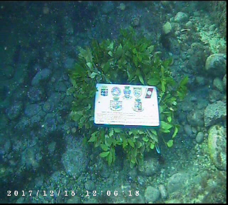 Deposizione Corona Carabinieri MESSINA