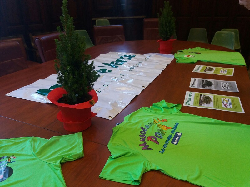 ALBERI DI NATALE FARE VERDE MESSINA (5)