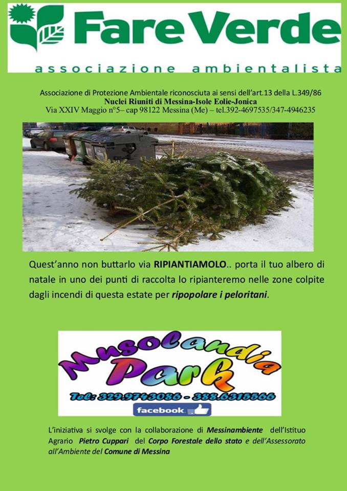 ALBERI DI NATALE FARE VERDE MESSINA (5)