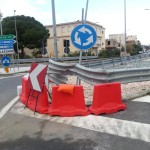 Rotatoria lazzaro (2)