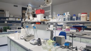 laboratorio genetica agraria