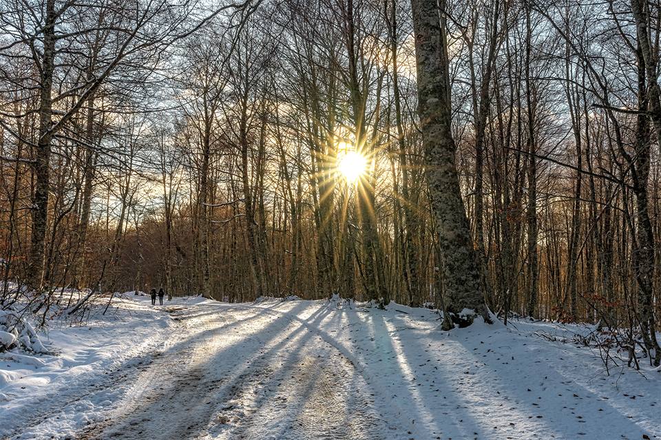 neve gambarie
