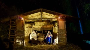 presepe vivente san roberto