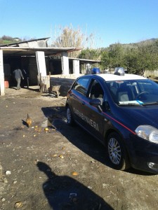 Carabinieri Taurianova