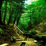 Parco Naturale delle Serre