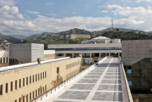 Università Mediterranea
