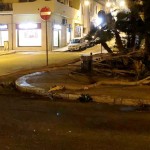 alberi caduti reggio calabria