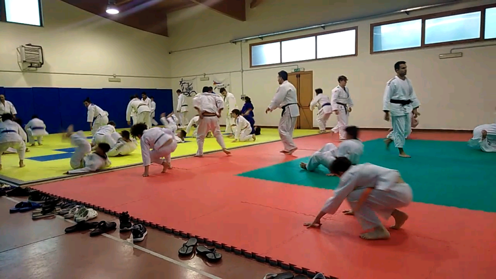 aduno tecnico regionale judo