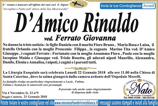 rinaldo d'amico