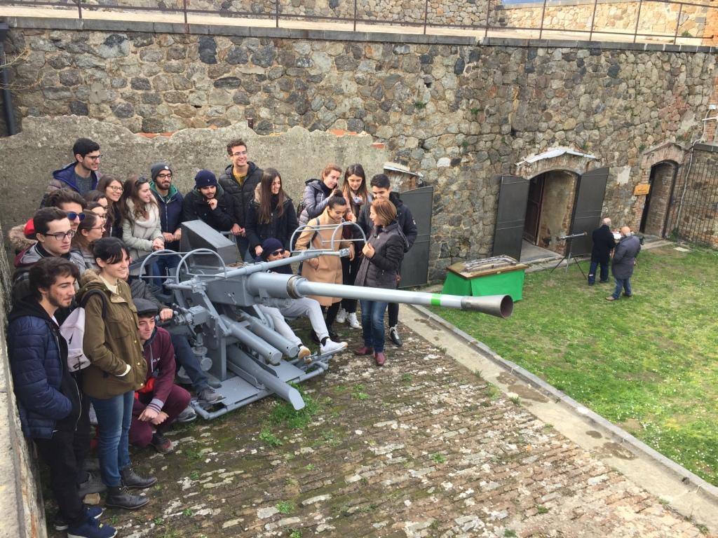 forte cavalli