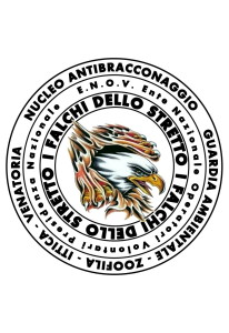 Falchi dello Stretto enov