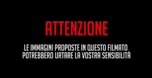 pestaggio aggressione Massimo Ursino Forza Nuova